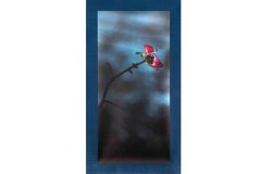 Arte contemporáneo japonés de Kojun - Kensho 2455