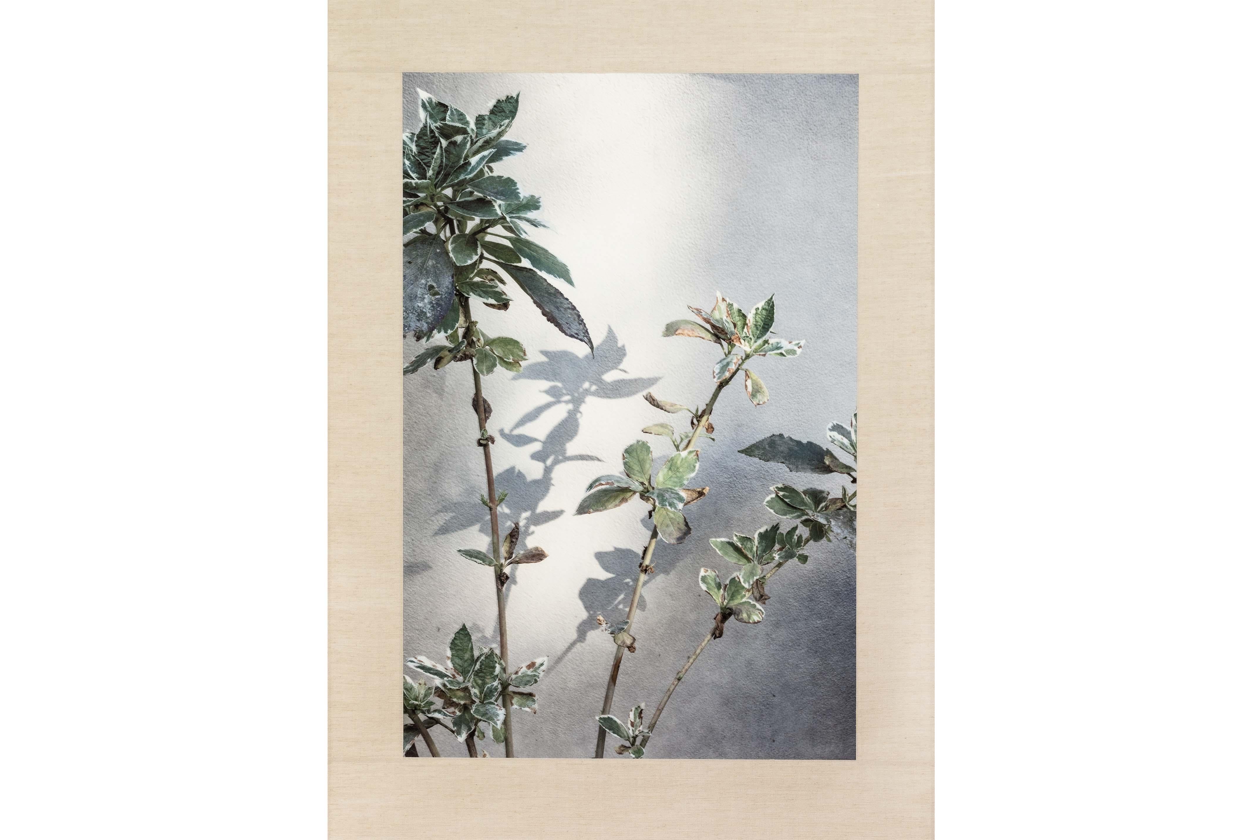 Arte contemporáneo japonés de Kojun - Kensho 2457 en venta 2