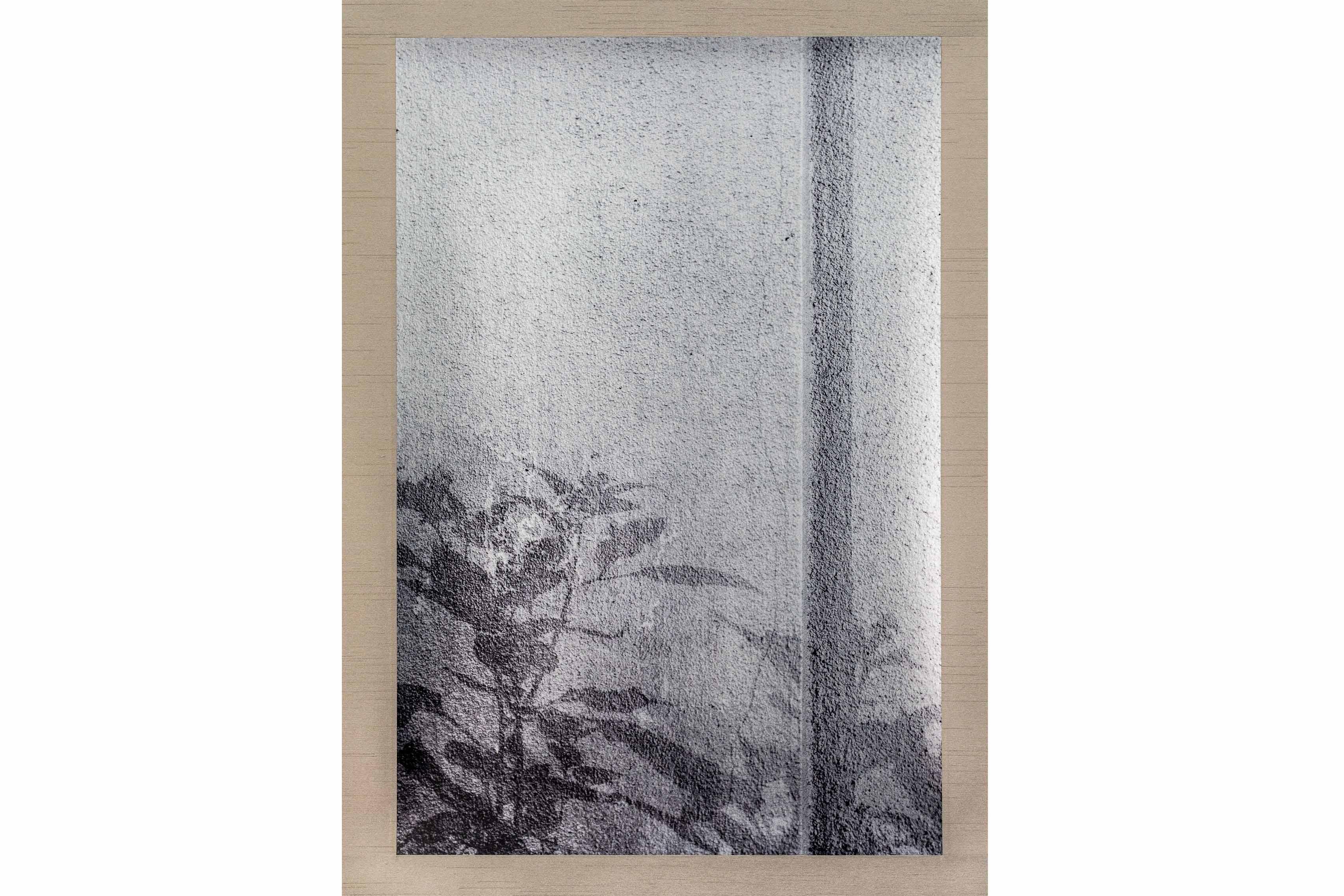 Tirage UV d'une photographie numérique sur feuille d'argent sur papier

Kojun est un artiste autodidacte américain multimédia né en 1977 et basé à Tokyo, au Japon, depuis 1999. Le projet Kojun, lancé en 2010, explore les expériences de la beauté