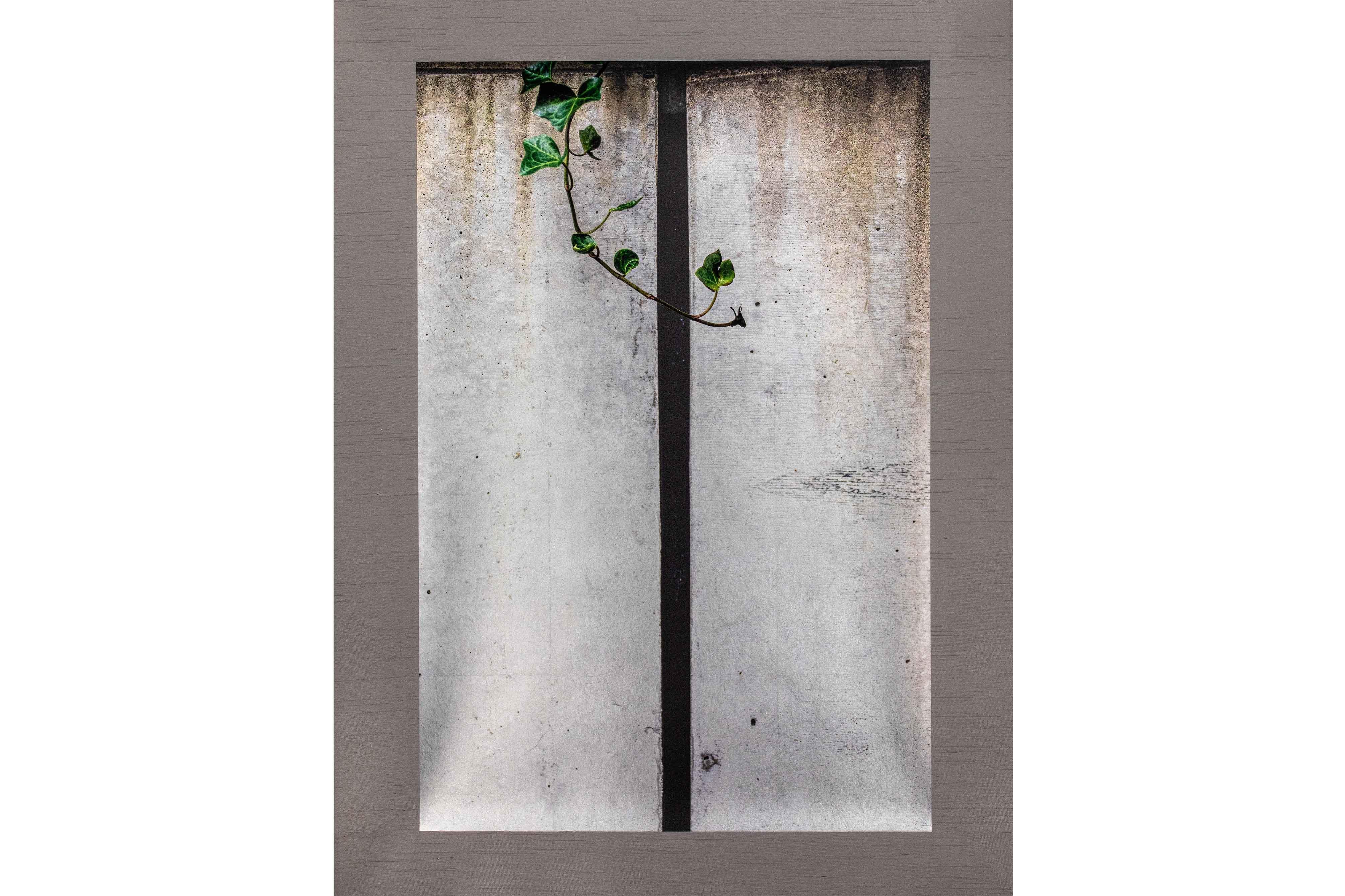 Arte contemporáneo japonés de Kojun - Kensho 2462 en venta 1