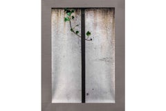 Arte contemporanea giapponese di Kojun - Kensho 2462