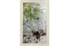 Arte contemporáneo japonés de Kojun - Kensho 2463