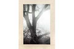 Arte contemporáneo japonés de Kojun - Kensho 22481