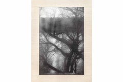 Arte contemporáneo japonés de Kojun - Kensho 24491