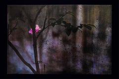 Arte contemporáneo japonés de Kojun - Mujo 2444