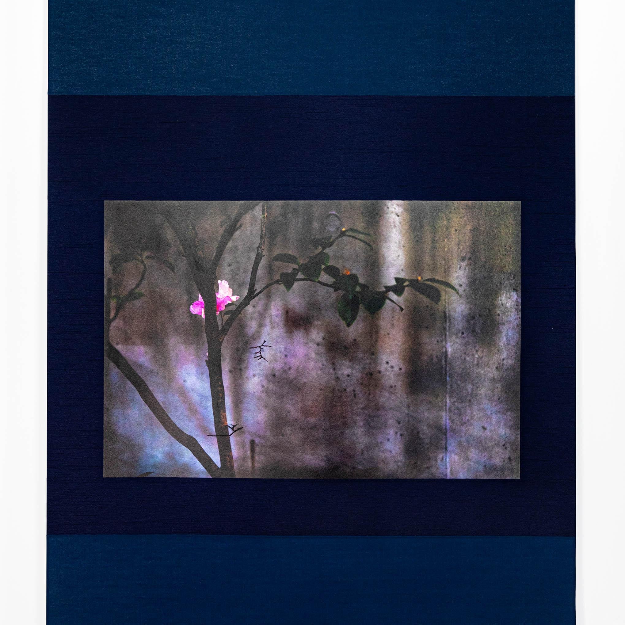 UV print of digital photograph on silver leaf on paper

Kojun is an self-taught multimédia American artist born in 1977 based in Tokyo, Japan since 1999. Kojun project started in 2010 explores the experiences of beauty glimpsed  in everyday life.