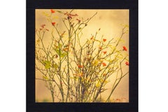 Japanese Contemporary Art by Kojun - Kensho 2514