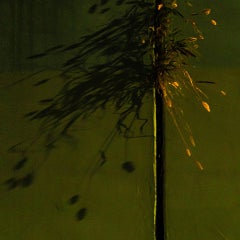 Arte contemporanea giapponese di Kojun - VM7 Wall-Gazing, Piante e Muri II