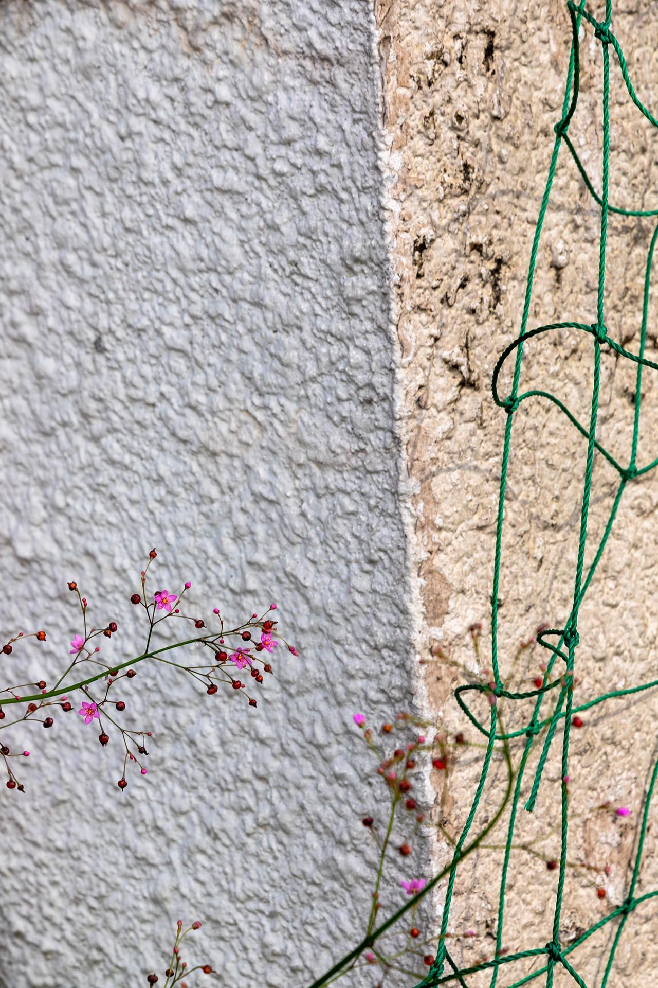 Art contemporain japonais par Kojun - VM8 - Glaçage mural, plantes et murs III en vente 4