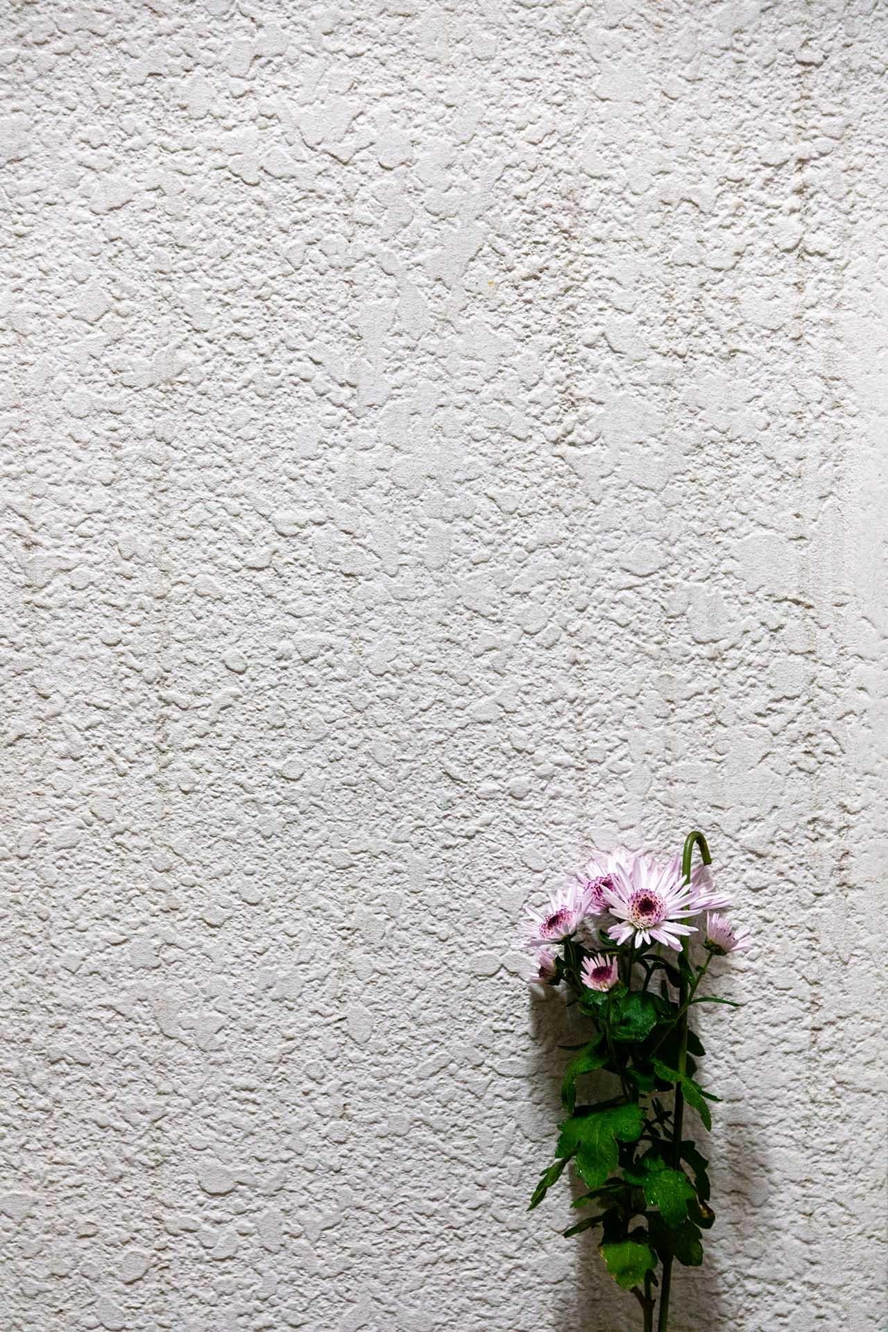 Art contemporain japonais par Kojun - VM8 - Glaçage mural, plantes et murs III en vente 7