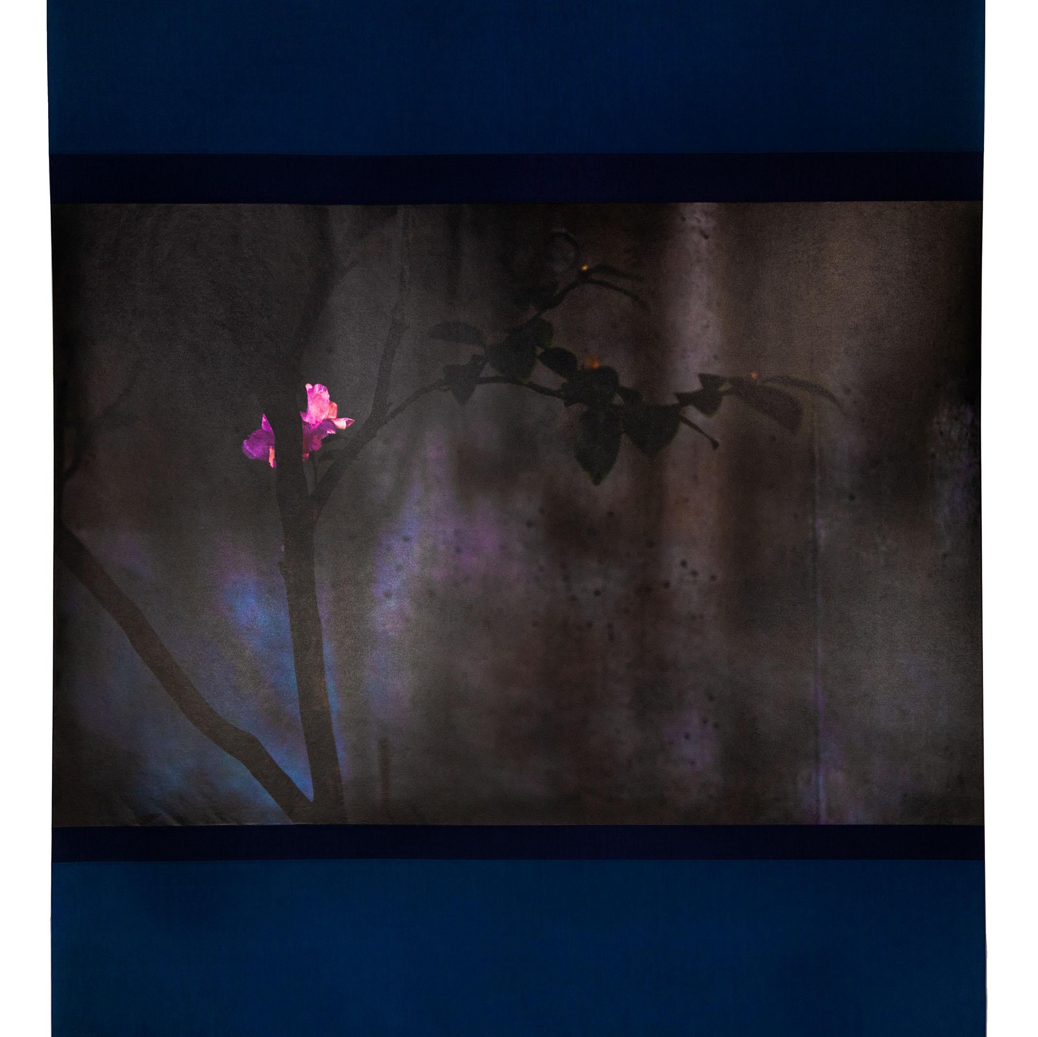 UV print of digital photograph on Kakejikuya 100% kozo paper mulberry washi, mounted in fabric scroll

Kojun is an self-taught multimédia American artist born in 1977 based in Tokyo, Japan since 1999. Kojun project started in 2010 explores the
