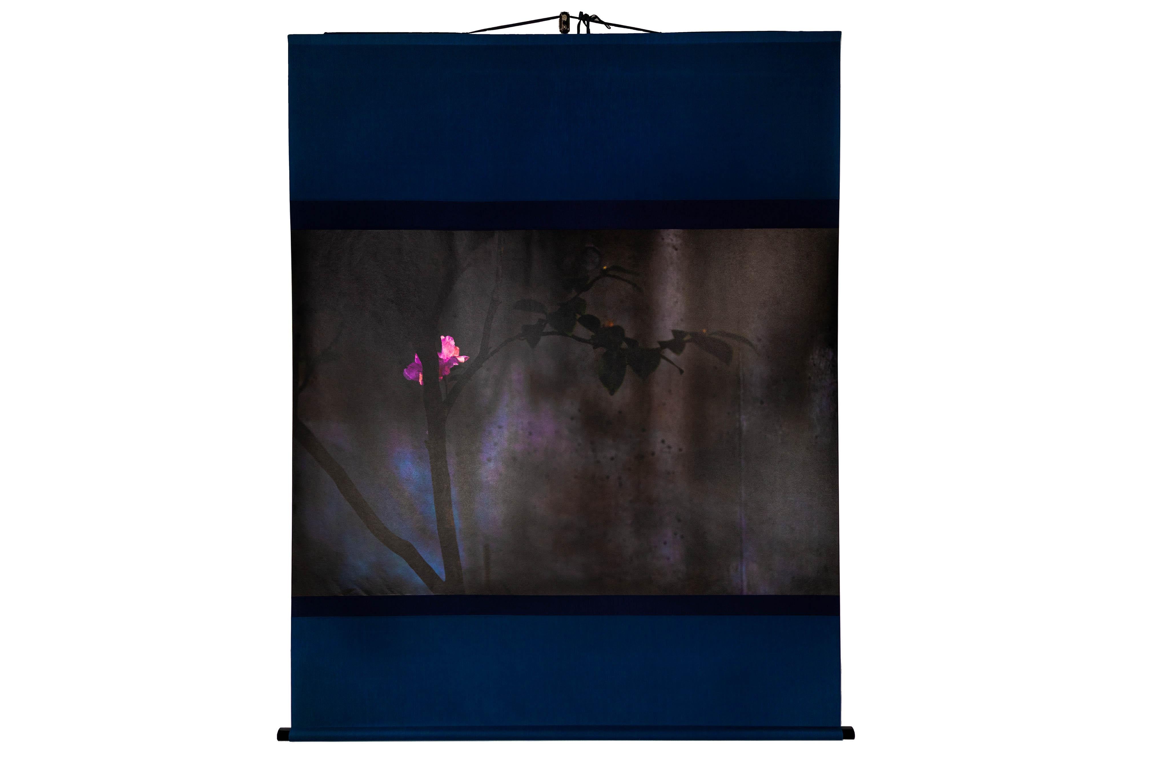 Tirage UV d'une photographie numérique sur papier Kakejikuya 100% kozo mulberry washi, monté dans un rouleau de tissu

Kojun est un artiste autodidacte américain multimédia né en 1977 et basé à Tokyo, au Japon, depuis 1999. Le projet Kojun, lancé en