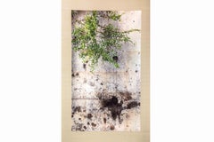 Japanese Contemporary Art by Kojun - Kensho 2720