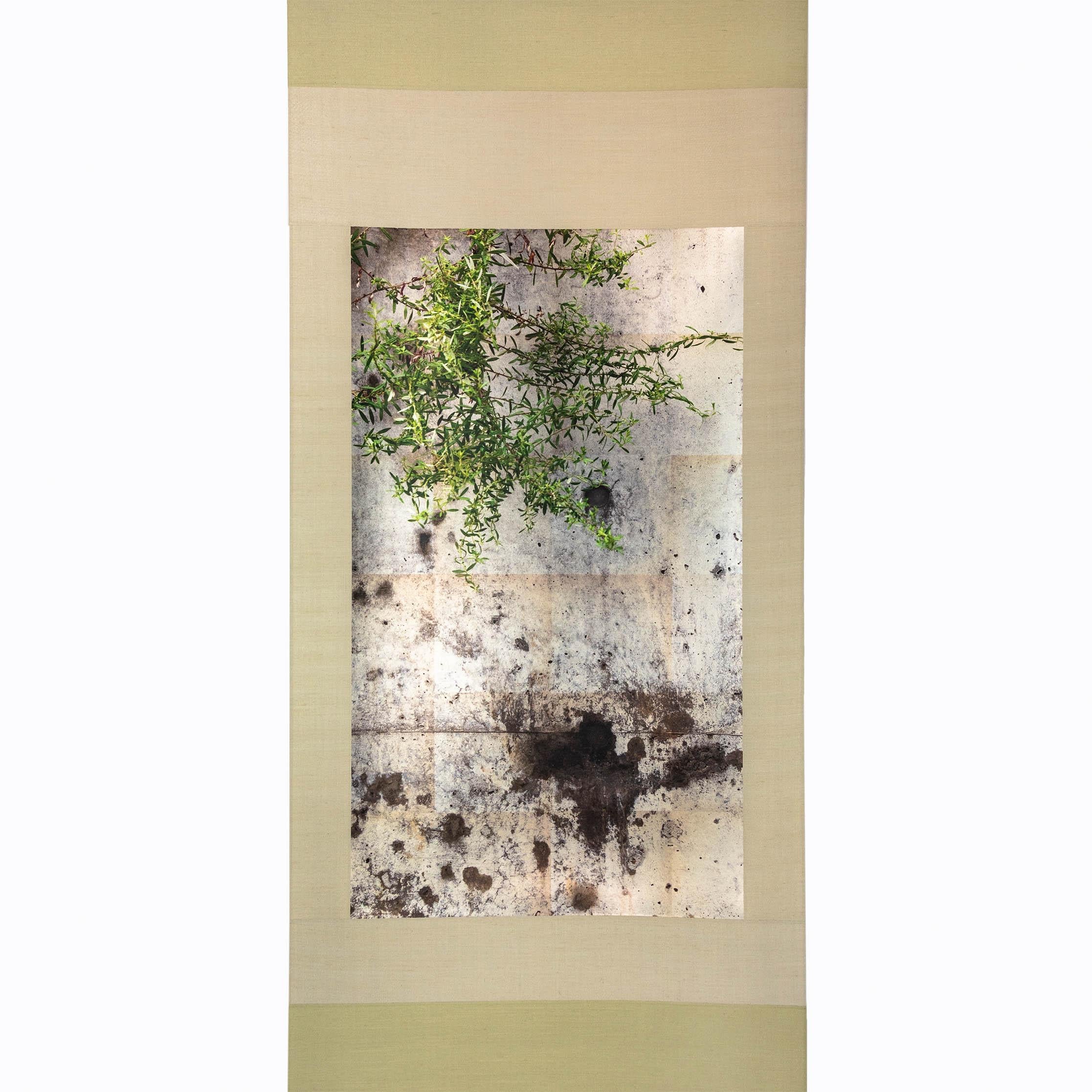 UV print of digital photograph on pewter leaf on paper, mounted in Japanese silk scroll

Kojun is an self-taught multimédia American artist born in 1977 based in Tokyo, Japan since 1999. Kojun project started in 2010 explores the experiences of
