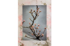 Japanese Contemporary Art by Kojun - Kensho 2820