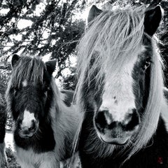 Zeitgenössisches Foto von Jean-Charles Mandou – Les Chevelus