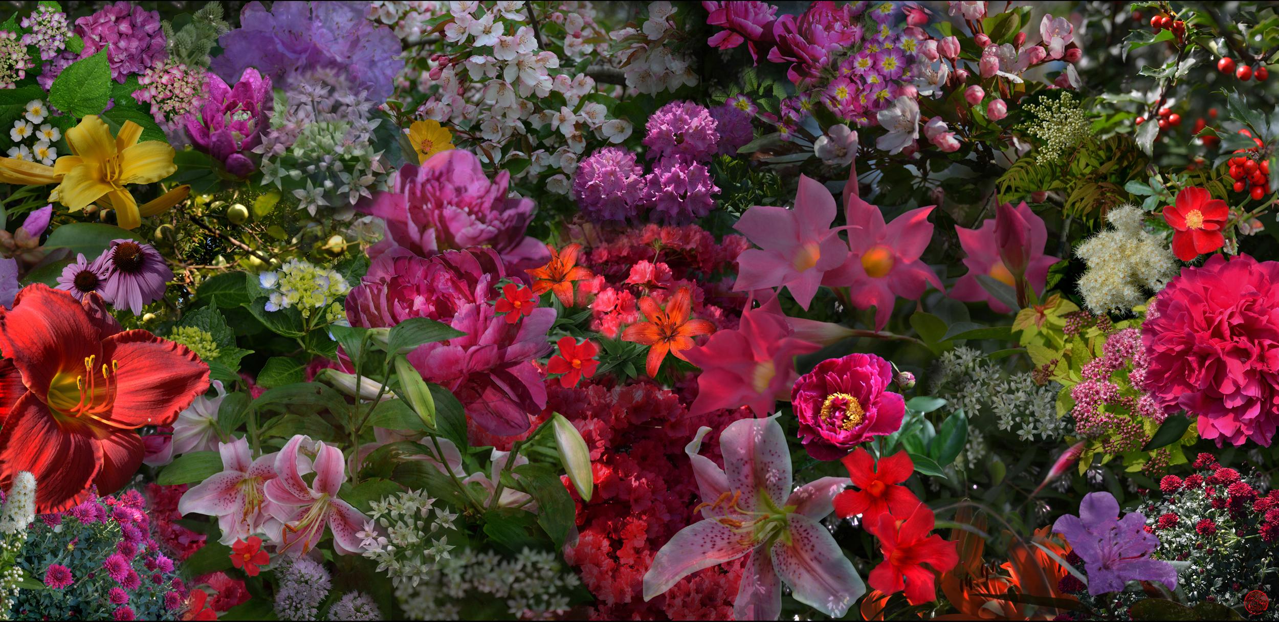 Michael K. Yamaoka  Color Photograph - American Contemporary Photo by M.Y The Persistence of Flowers, South Salem, NY  
