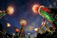 French Contemporary Photo by B. Paget - Singapore  "Gardens by the Bay" #2