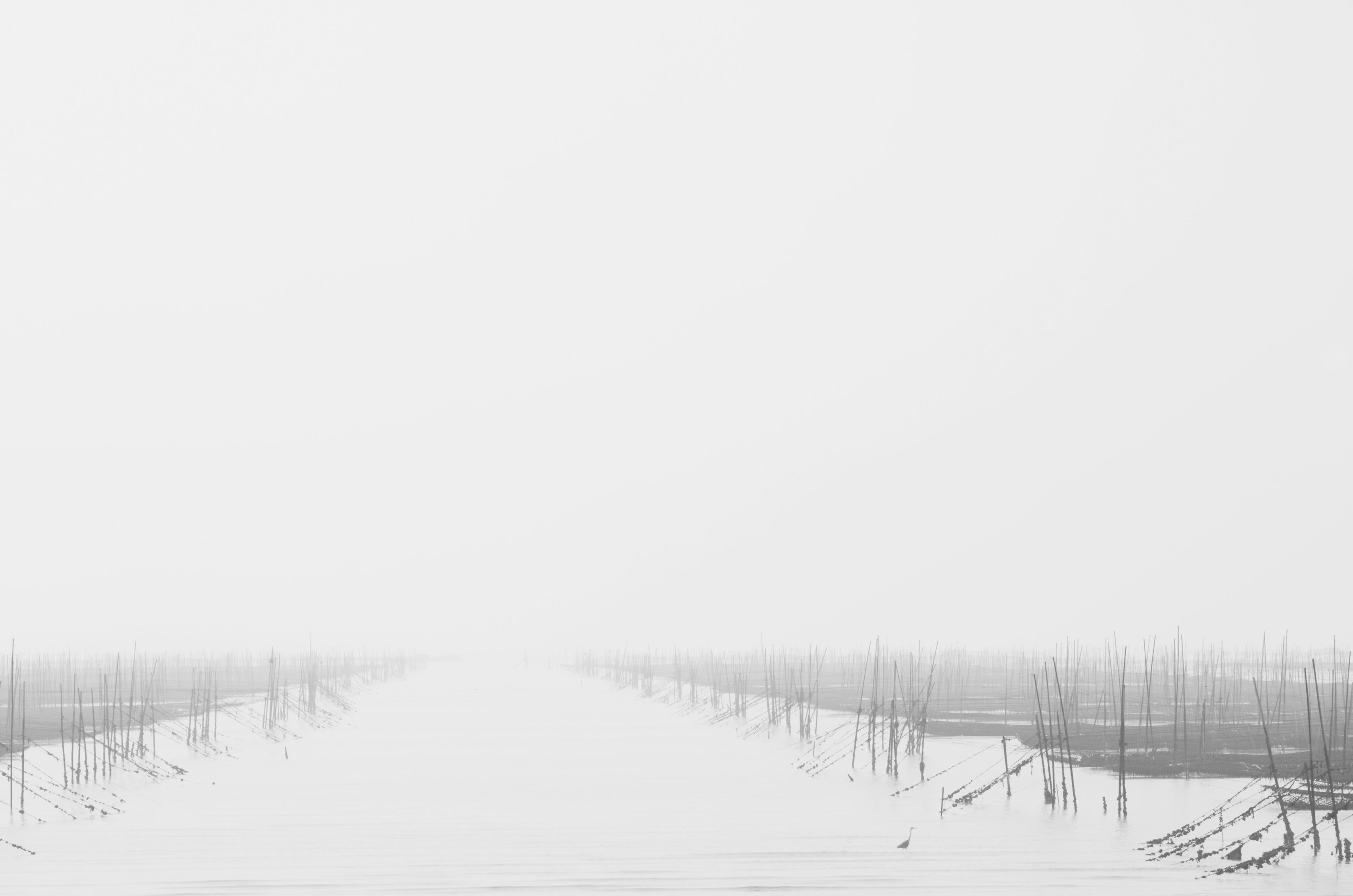 Yeong-Jea Kim Black and White Photograph - The Morning Mist I (45 x 33")
