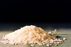 Rice - 21st Century, Contemporary, Miniature Photography, Pigment Print