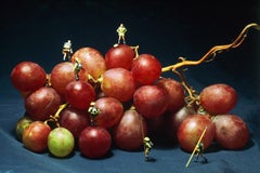 Grape Climbing - 21st Century, Contemporary, Miniature Photography