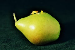 Pear - 21st Century, Contemporary, Miniature Photography, Pigment Print