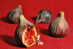 Figs - Fotografía en miniatura contemporánea del siglo XXI sobre plexiglás