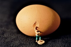 Egg - 21st Century, Contemporary, Miniature Photography on Plexi