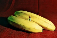 Bananas - 21st Century, Contemporary, Miniature Photography on Plexi