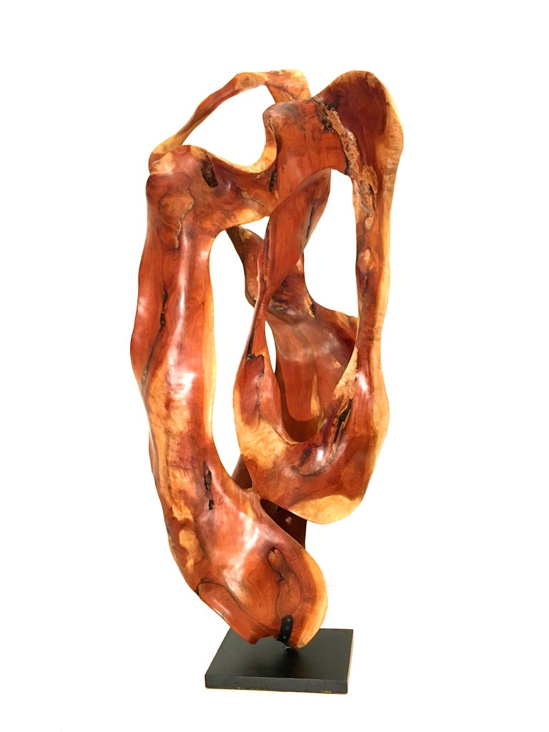 Joaquim Ingravidesa Bosc 21st Century, Contemporary, Abstract