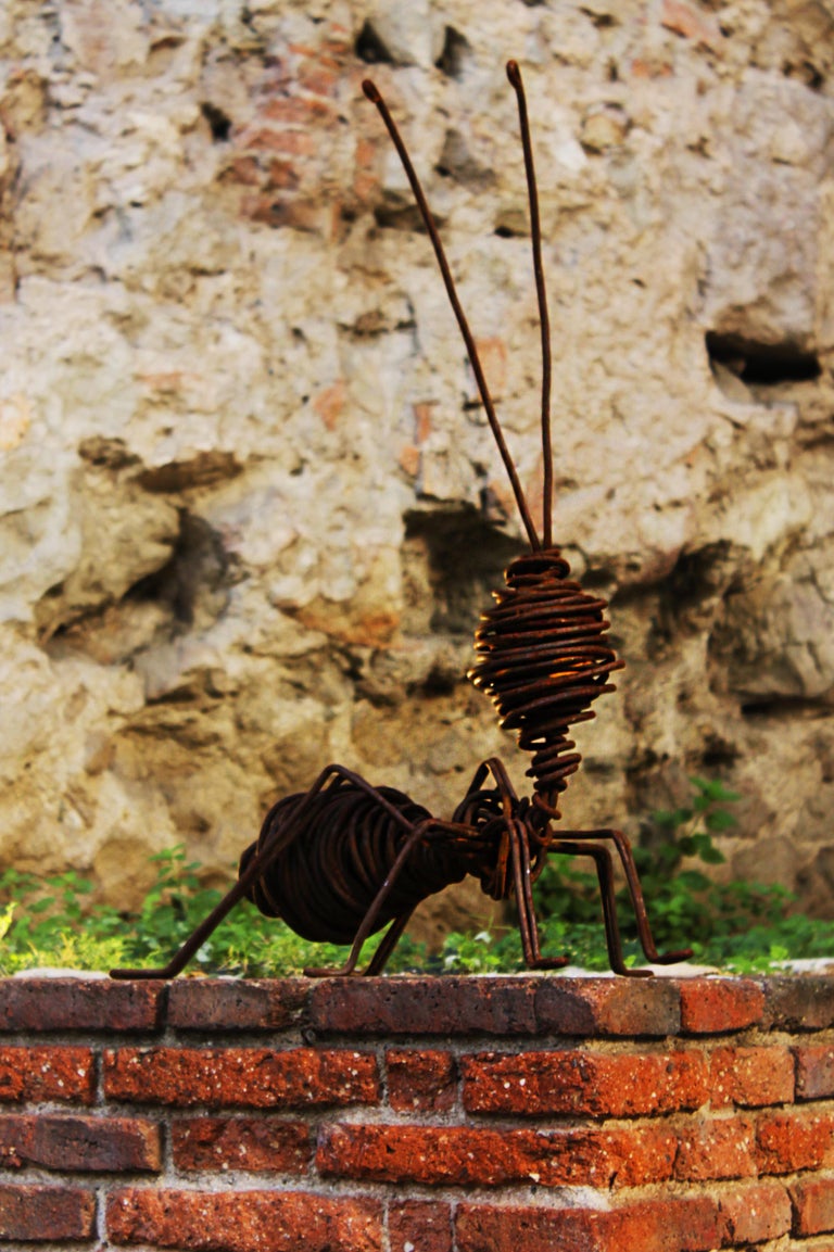 Hormiga XL - 21st Century, Contemporary, Figurative Sculpture, Iron, Ant For Sale 3