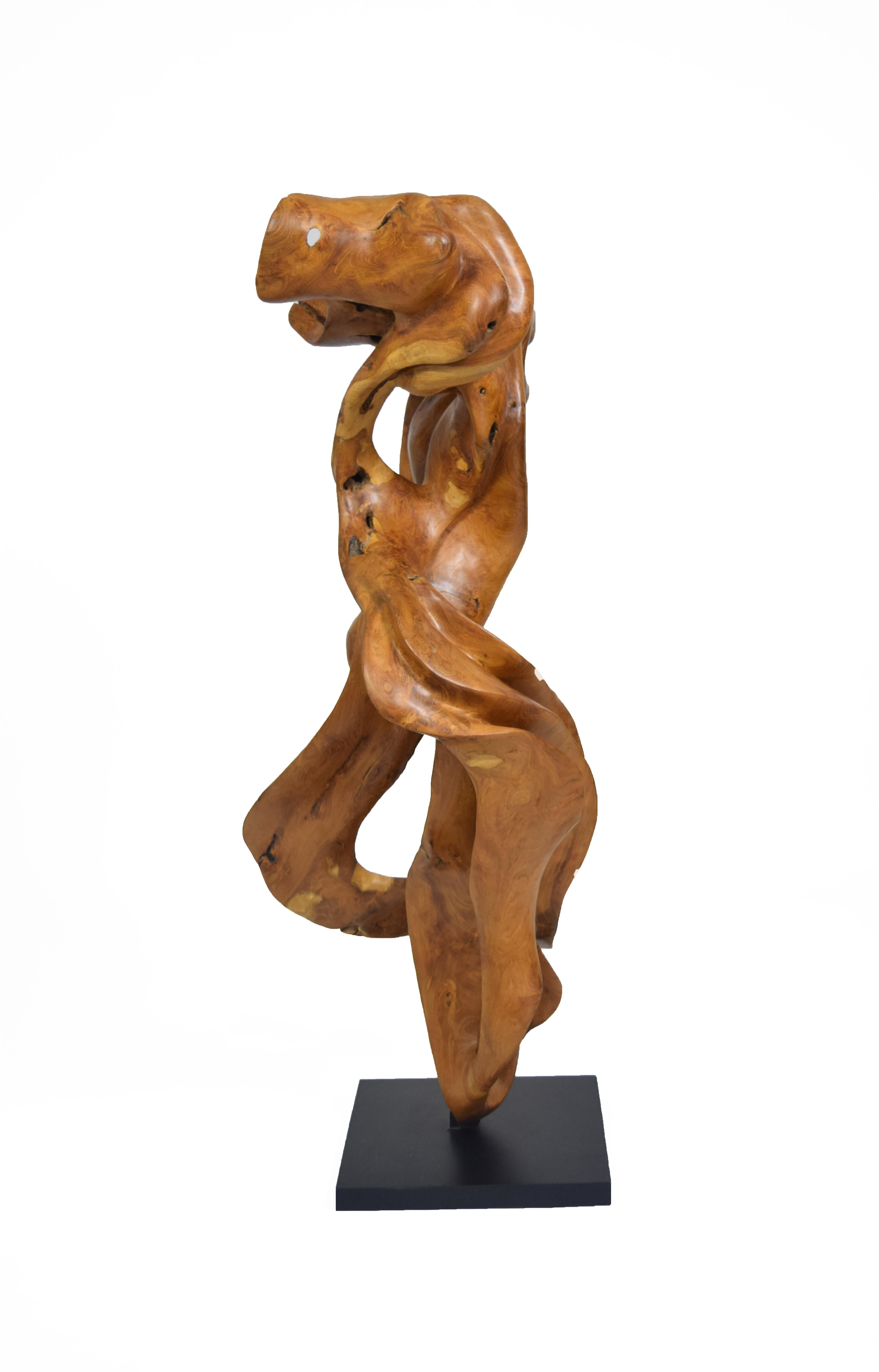 Esperança - 21st Century, Contemporary, Abstract Sculpture, Teak Wood, Roots 1