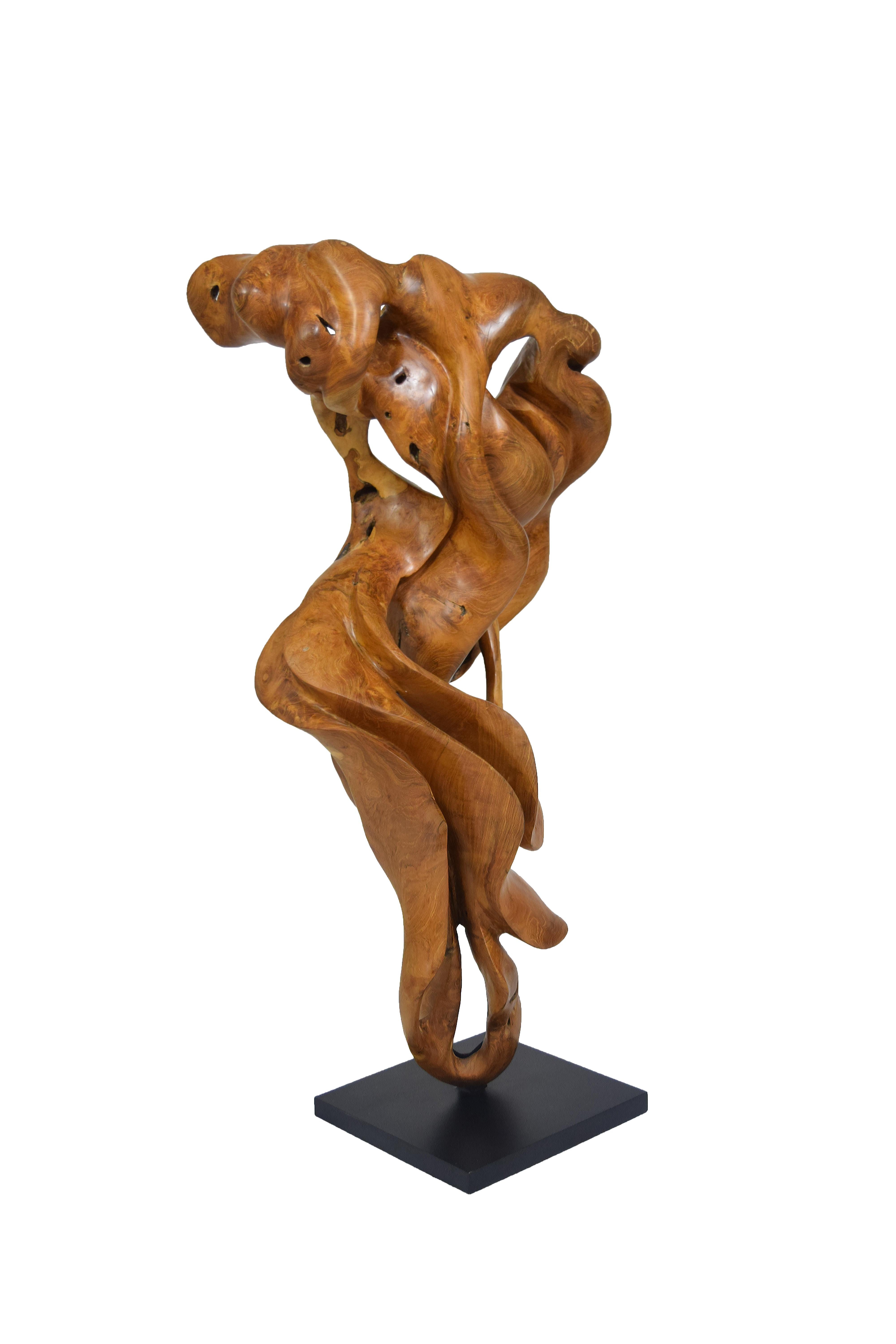 Esperança - 21st Century, Contemporary, Abstract Sculpture, Teak Wood, Roots 2