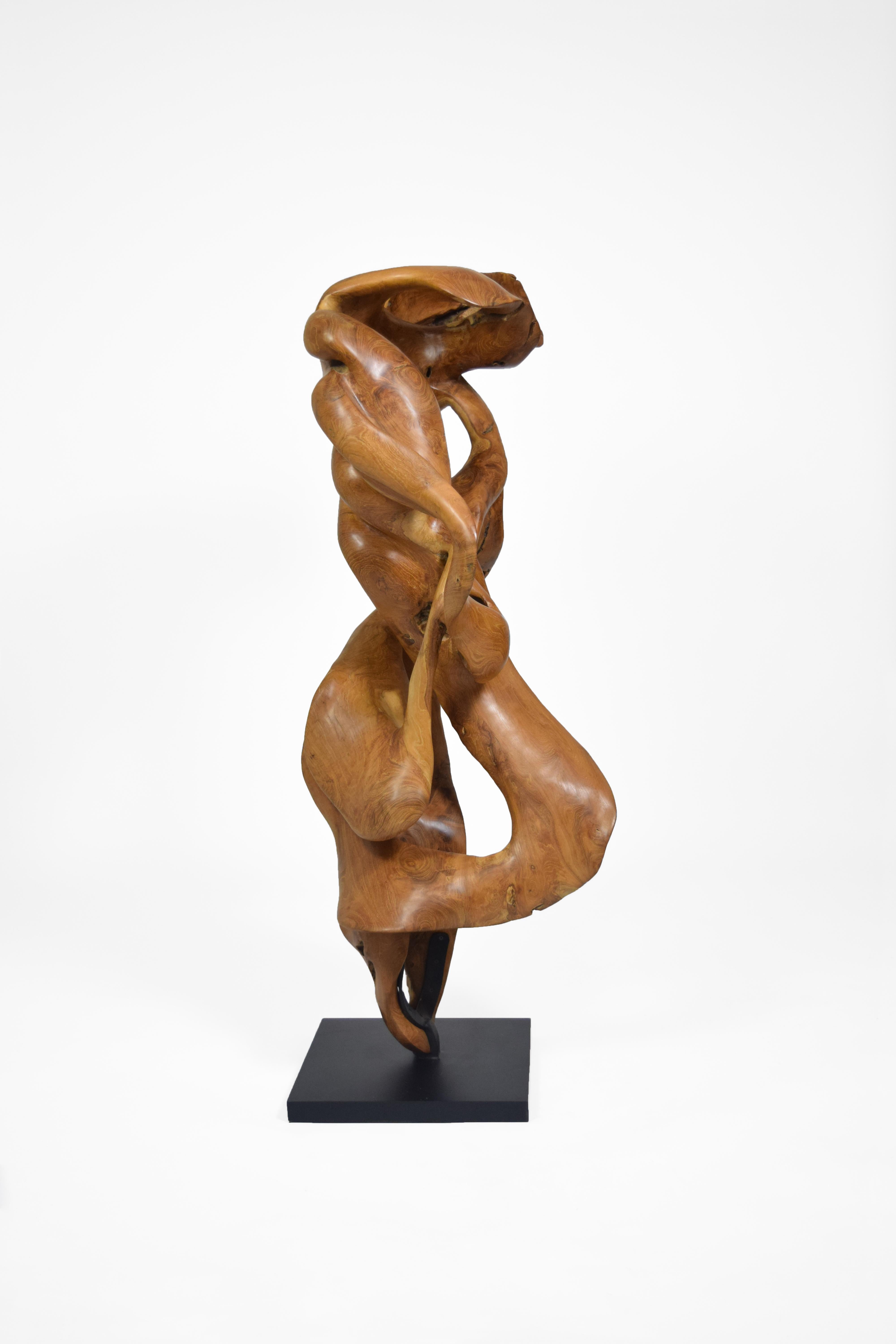 Esperança - 21st Century, Contemporary, Abstract Sculpture, Teak Wood, Roots 3