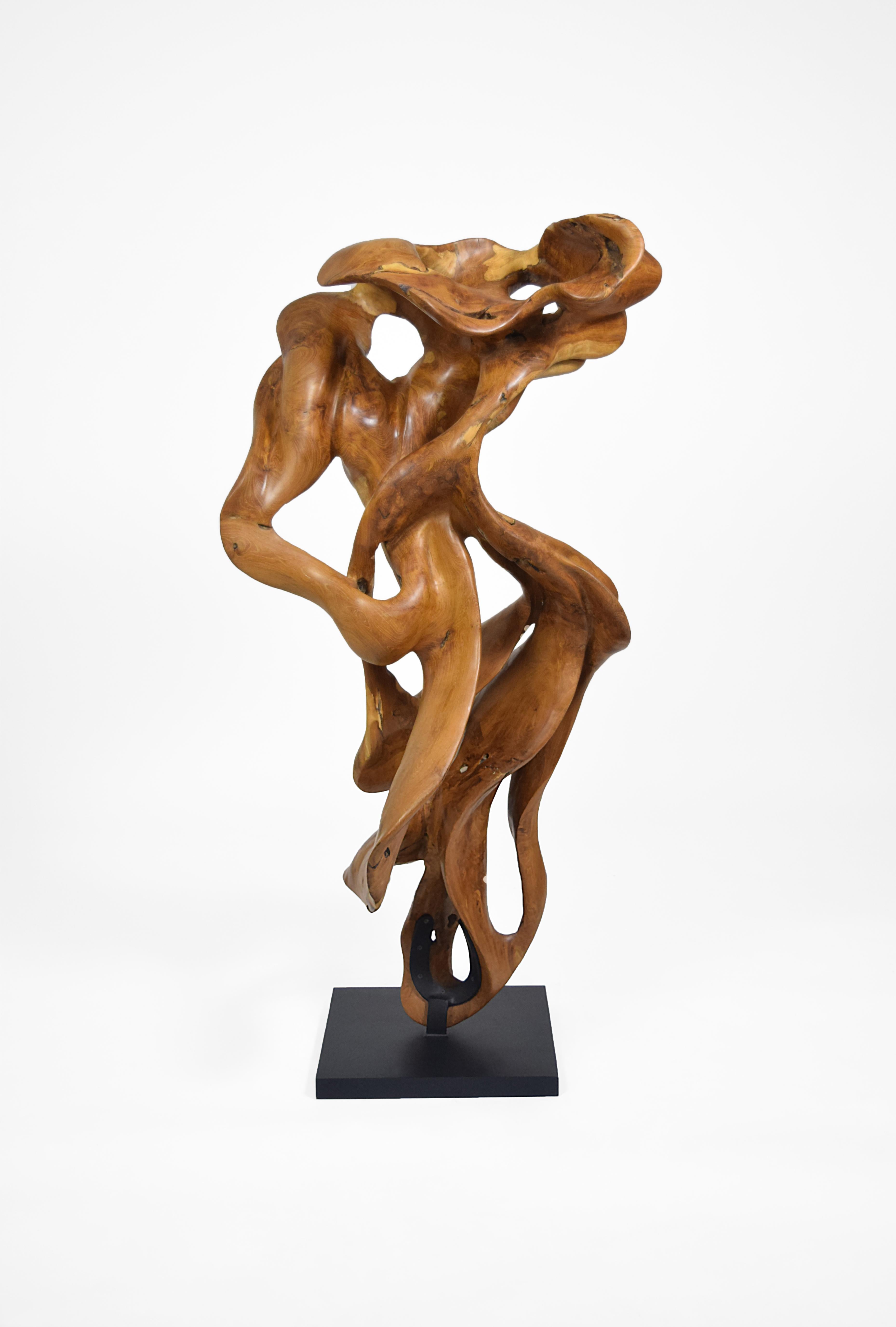 Esperança - 21st Century, Contemporary, Abstract Sculpture, Teak Wood, Roots 4