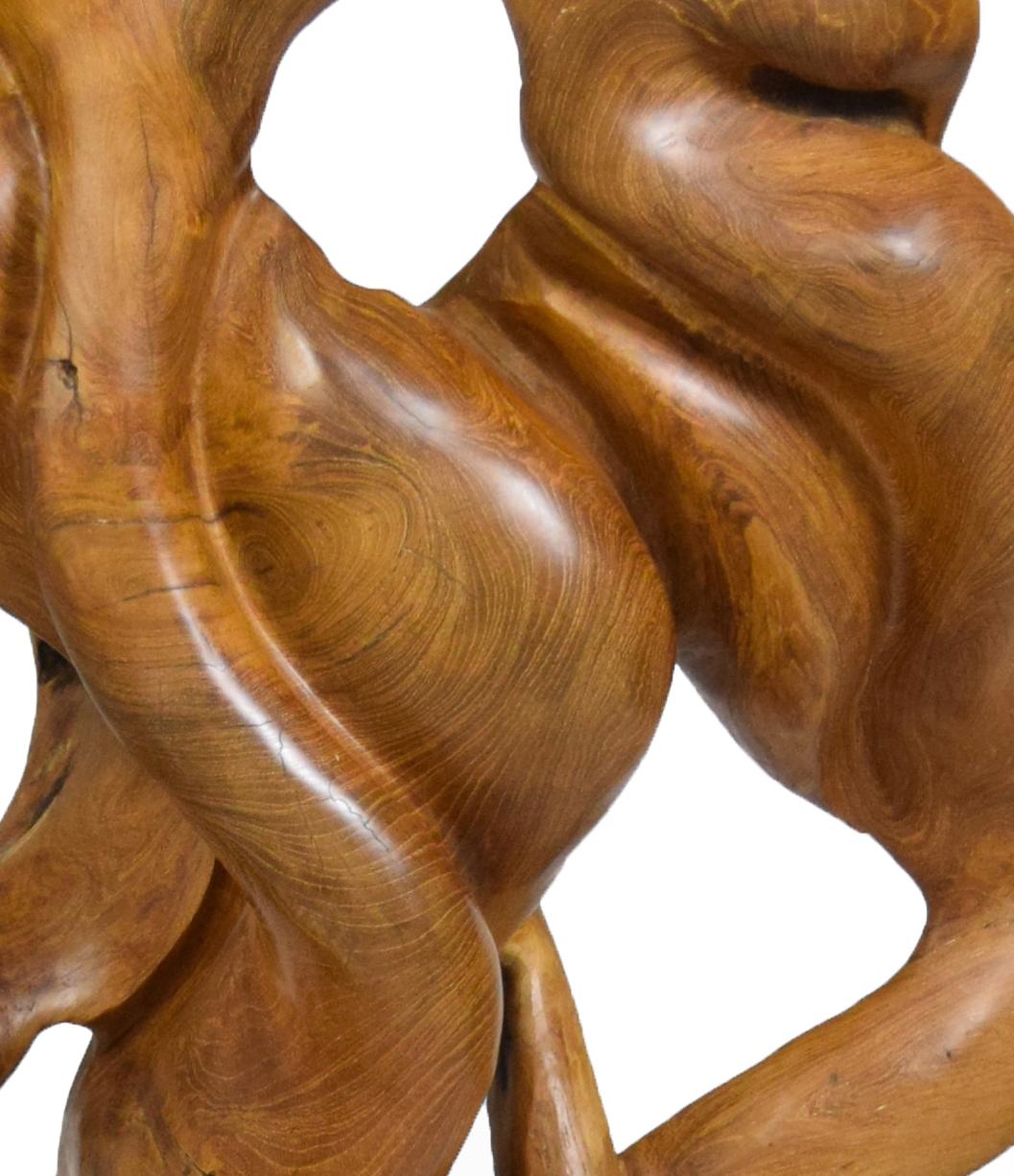 Esperança - 21st Century, Contemporary, Abstract Sculpture, Teak Wood, Roots 6