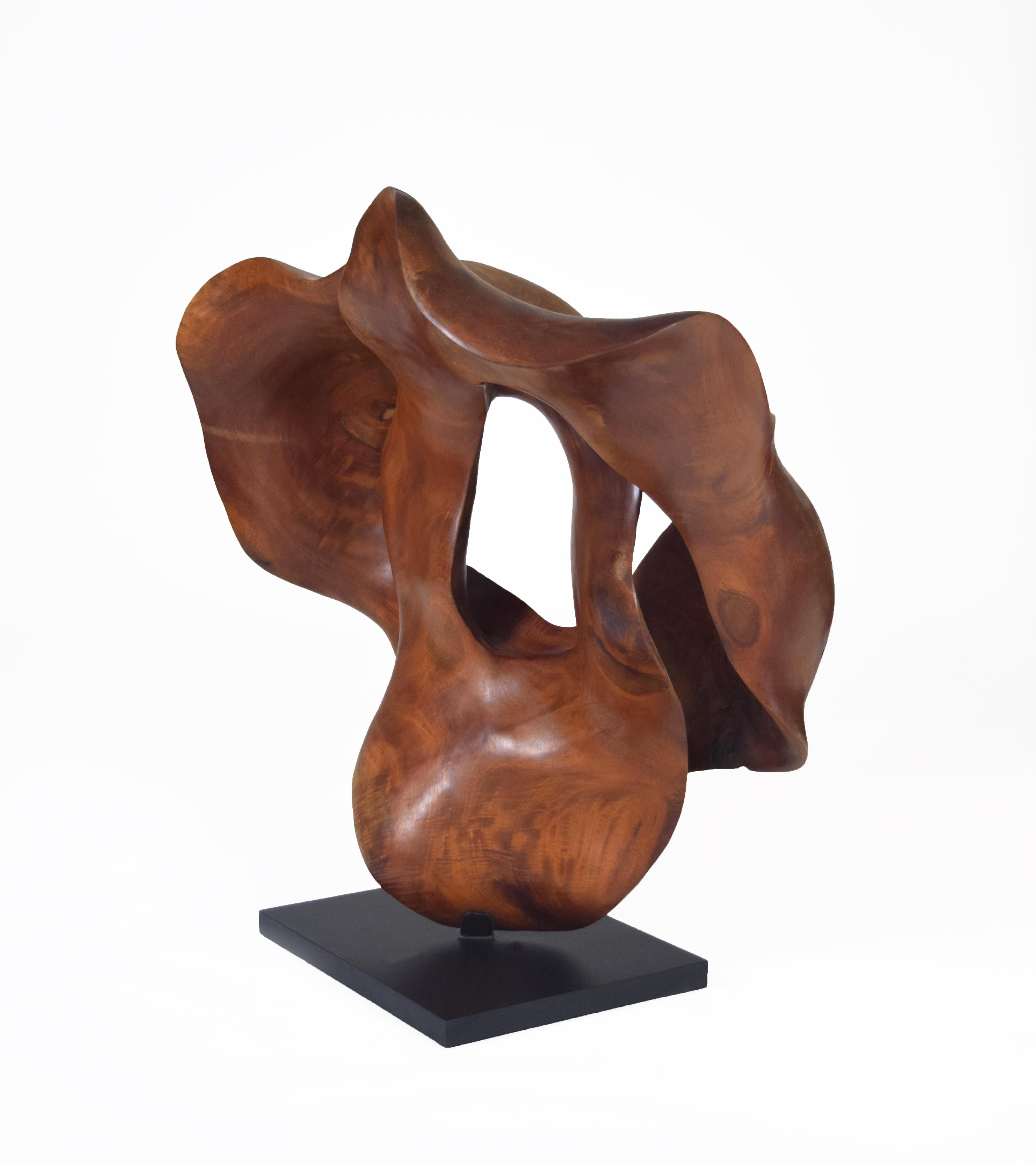 Harmony - 21st Century, Contemporary, Abstract Sculpture, Mahogany Wood, Roots 1