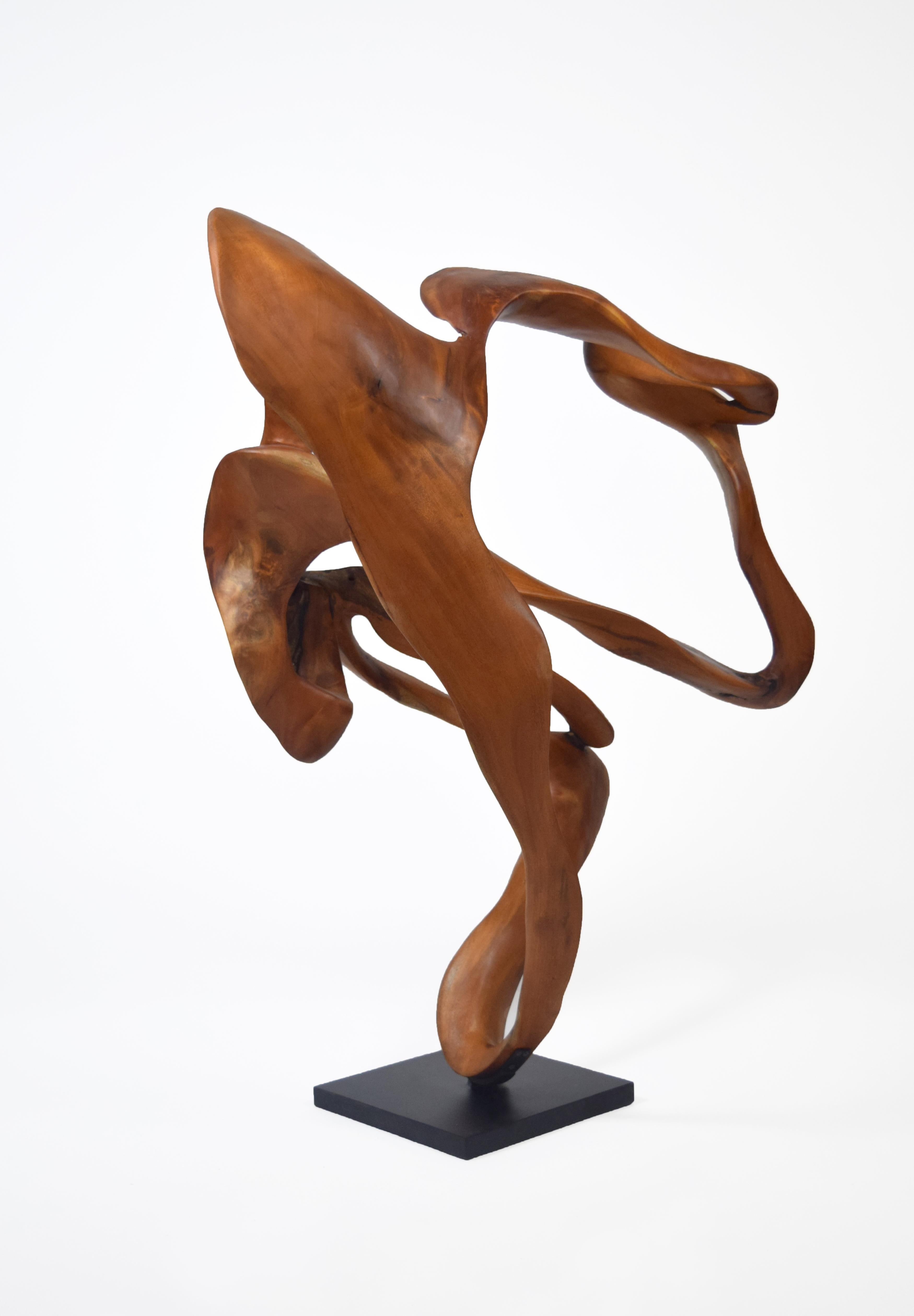 Symphony - 21st Century, Contemporary, Abstract Sculpture, Mahogany Wood, Roots 1