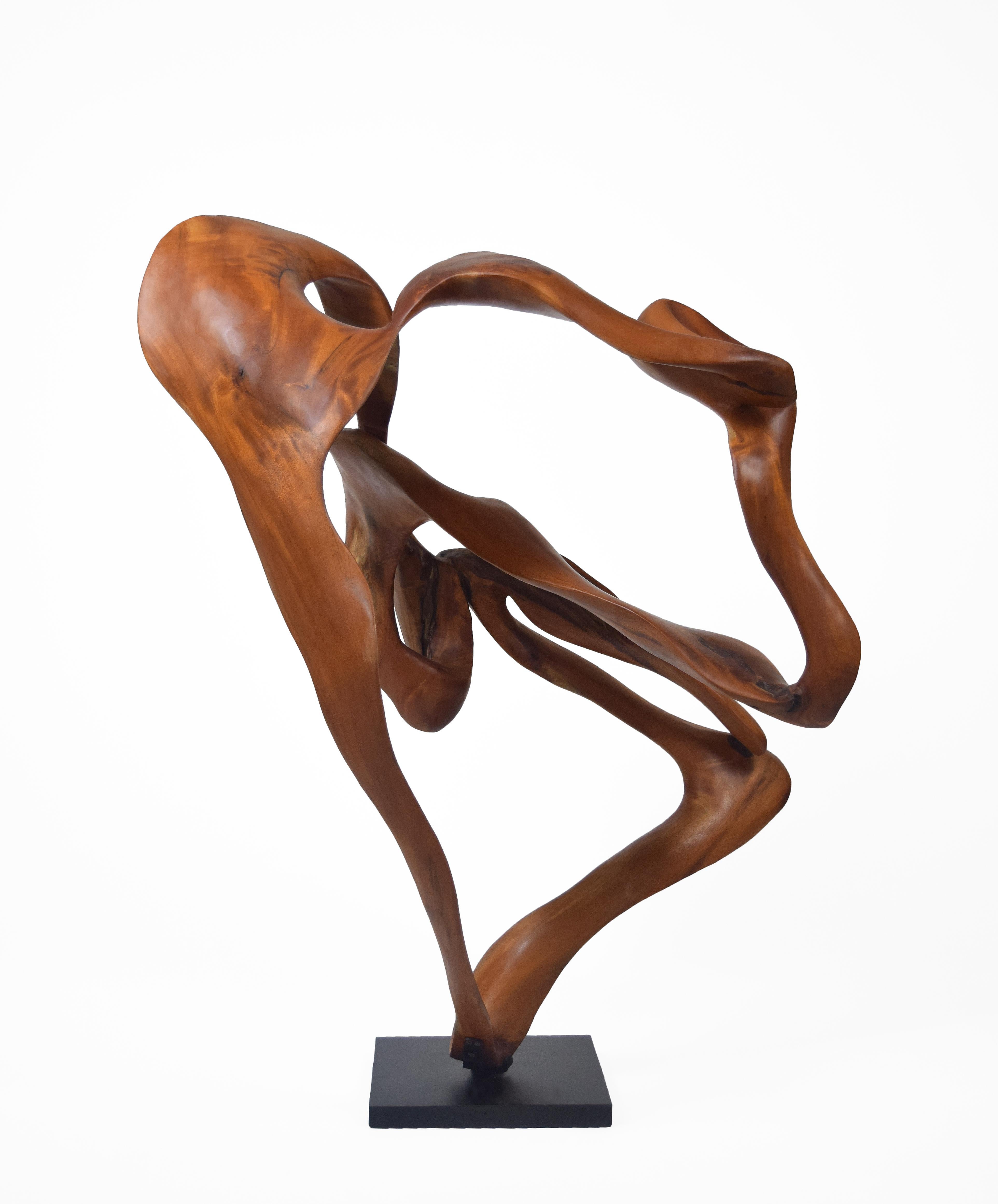 Symphony - 21st Century, Contemporary, Abstract Sculpture, Mahogany Wood, Roots 2