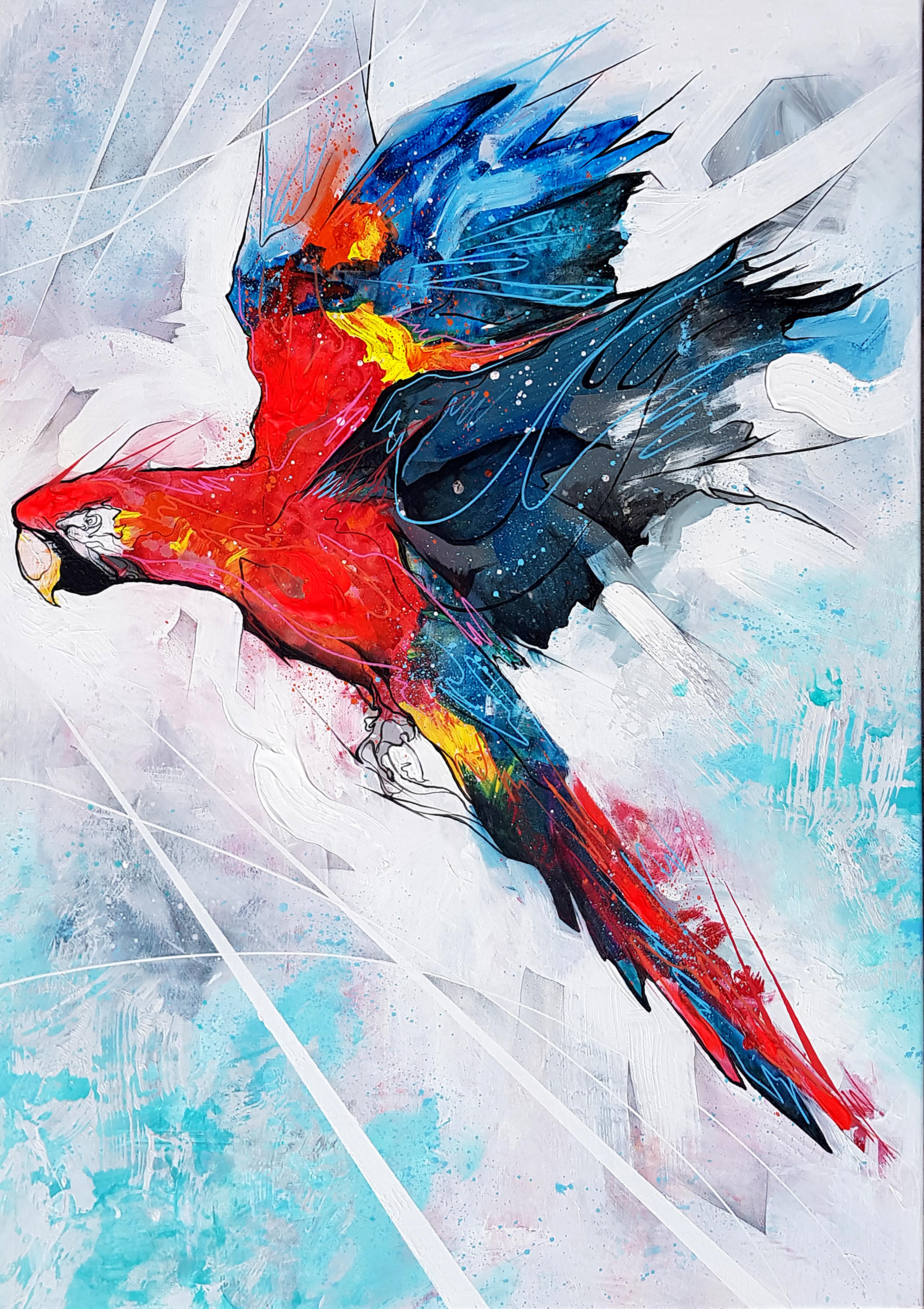 Danny O'Connor Animal Painting - Macaw In Flight - 21st Century, Contemporary Painting, Graffiti, Flying Bird