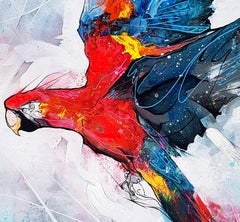 Macaw In Flight – 21. Jahrhundert, Zeitgenössisches Gemälde, Graffiti, fliegender Vogel