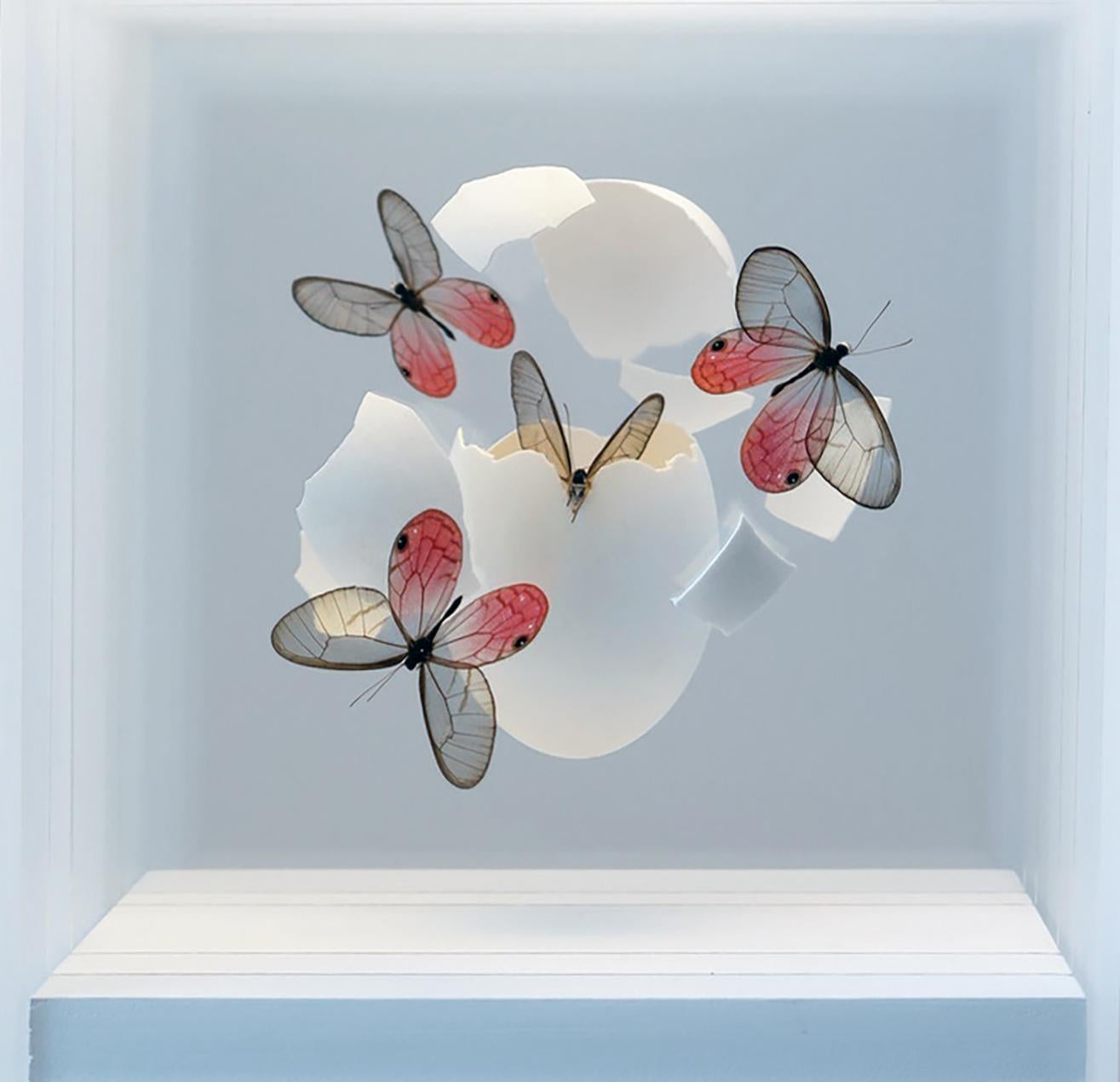 Impact 141 - 21st Cent, Contemporary, Installation, Mixed Media, Butterfly, Egg - Mixed Media Art by Jean Luc
