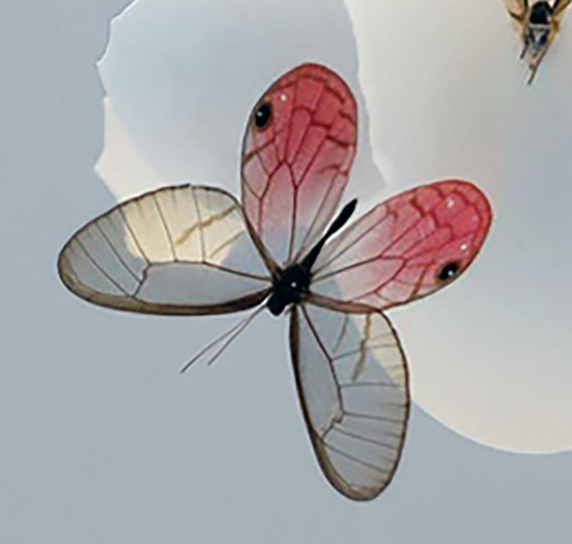 butterfly installation art