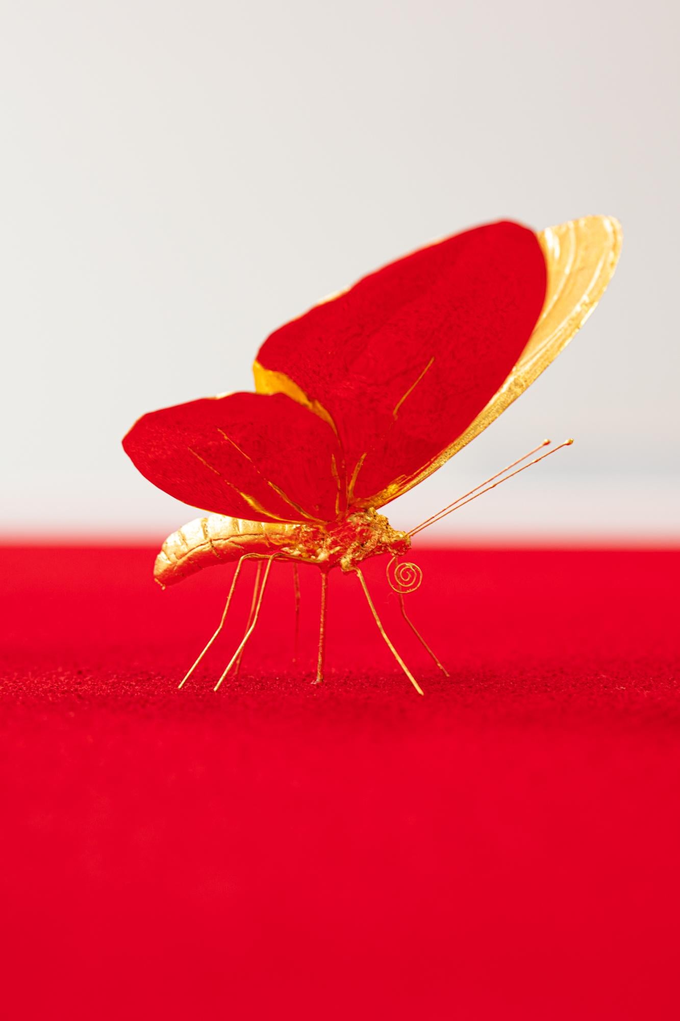 Metamorphosis Red II - 21st Century, Contemporary Figurative, Golden Butterflies 2