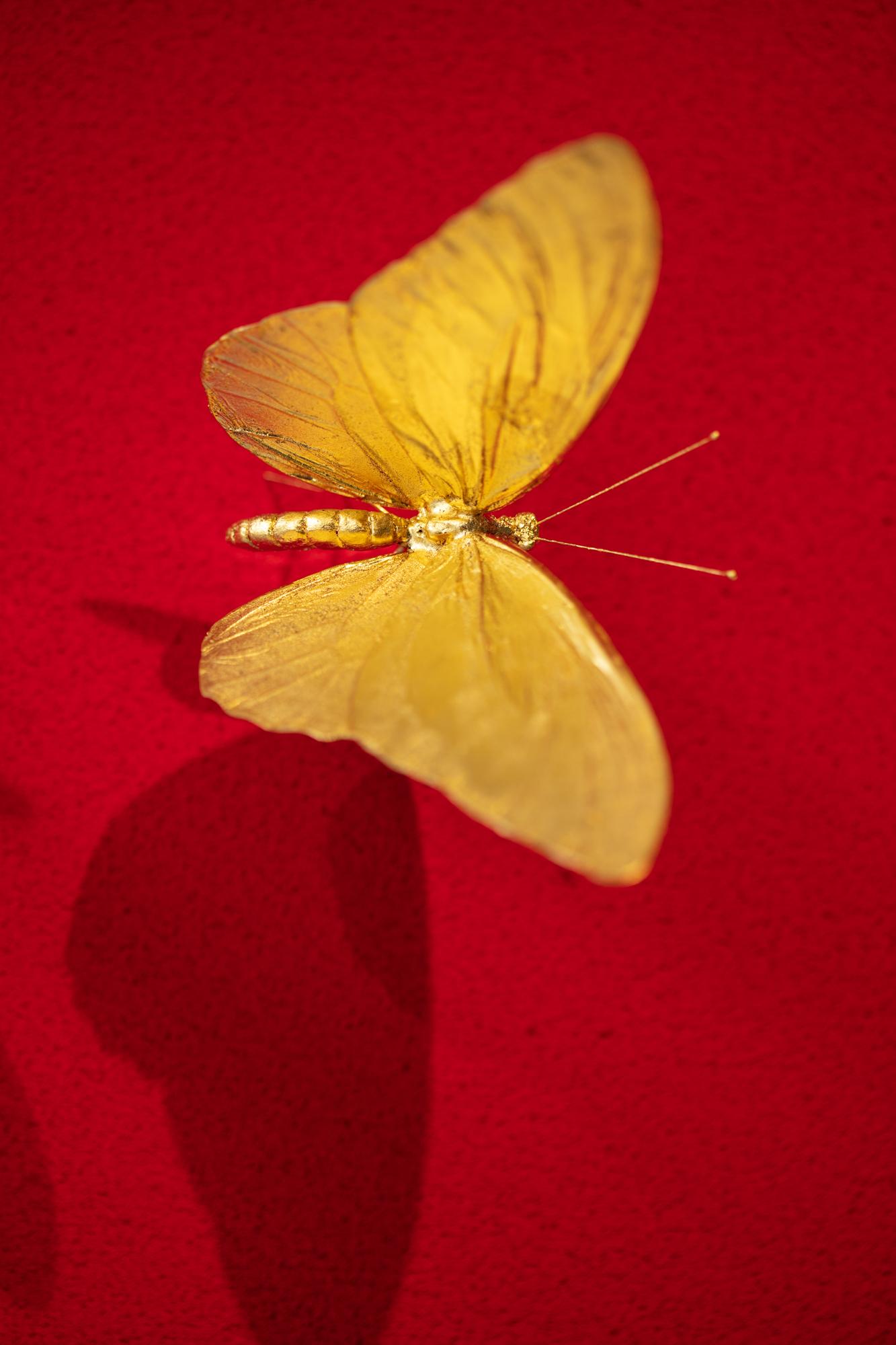 Metamorphosis Red II - 21st Century, Contemporary Figurative, Golden Butterflies 6