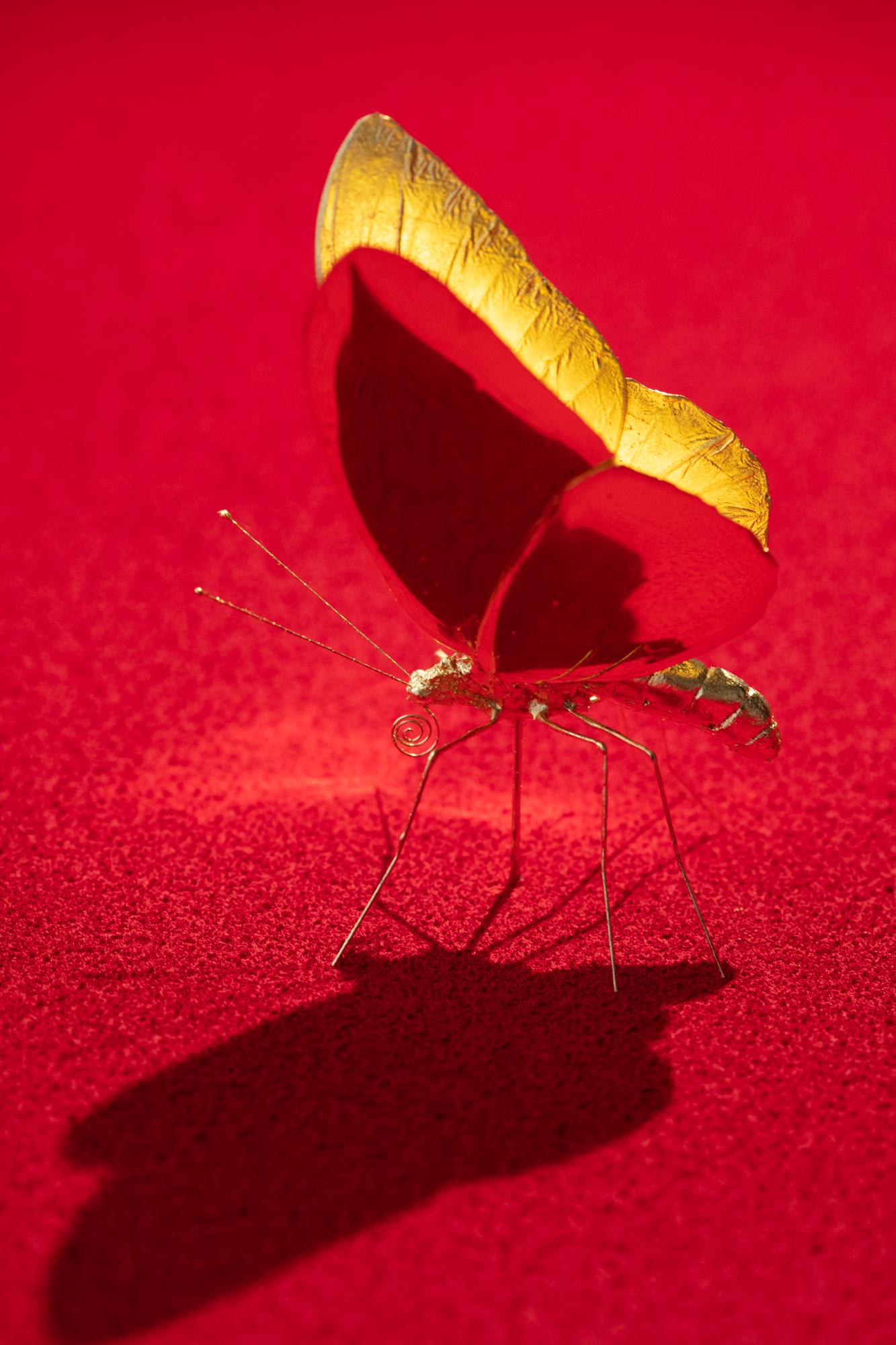 Metamorphosis Red II - 21st Century, Contemporary Figurative, Golden Butterflies 10