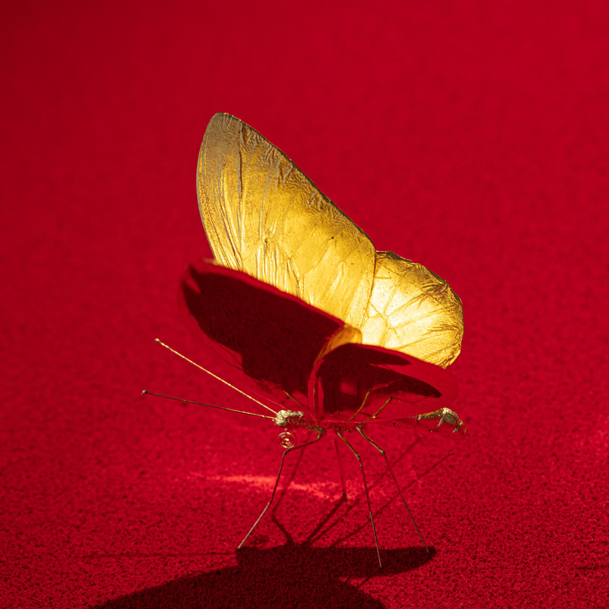 Metamorphosis Red II - 21st Century, Contemporary Figurative, Golden Butterflies 11