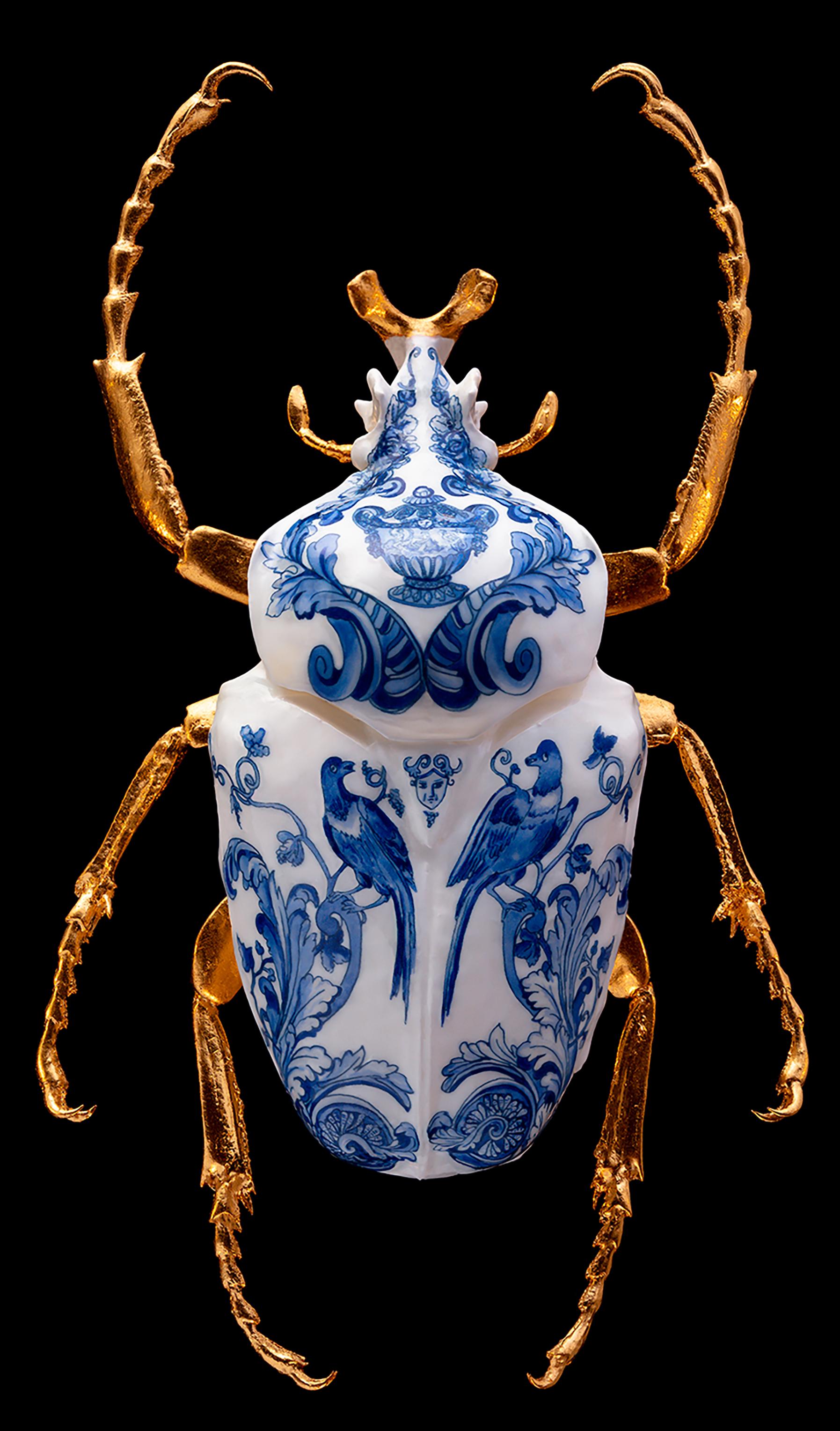 blue goliath beetle
