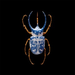 Atlas Beetle Closed - 21st Century, Contemporary, Figurative, Print, Insect