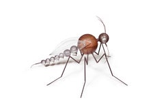 Mosquito – 21. Jahrhundert, Zeitgenössische Skulptur, figürlich, recycelte Objekte